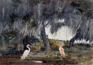 タンパ・リアリズムの海洋画家ウィンスロー・ホーマーの鳥にて Oil Paintings